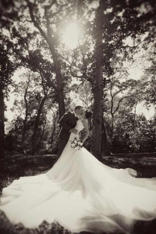 gorgeous wedding dress photo