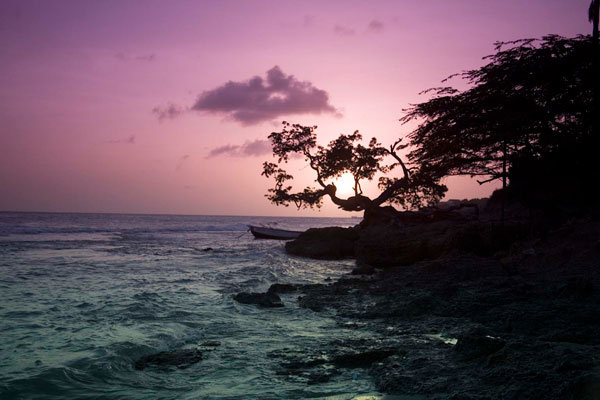 jamaica sunset treasure beach