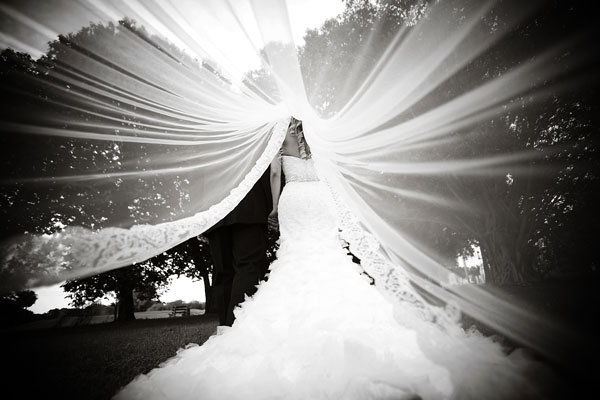 gorgeous veil photo