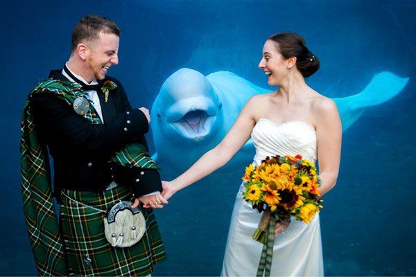 whale photobombing a wedding photo