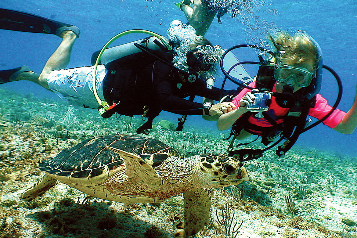 snorkeling cayman islands