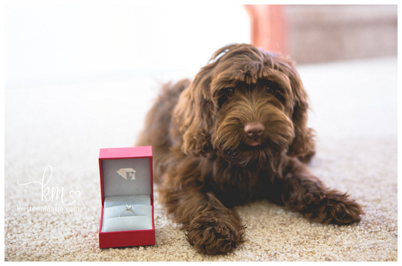 photographers puppy proposal