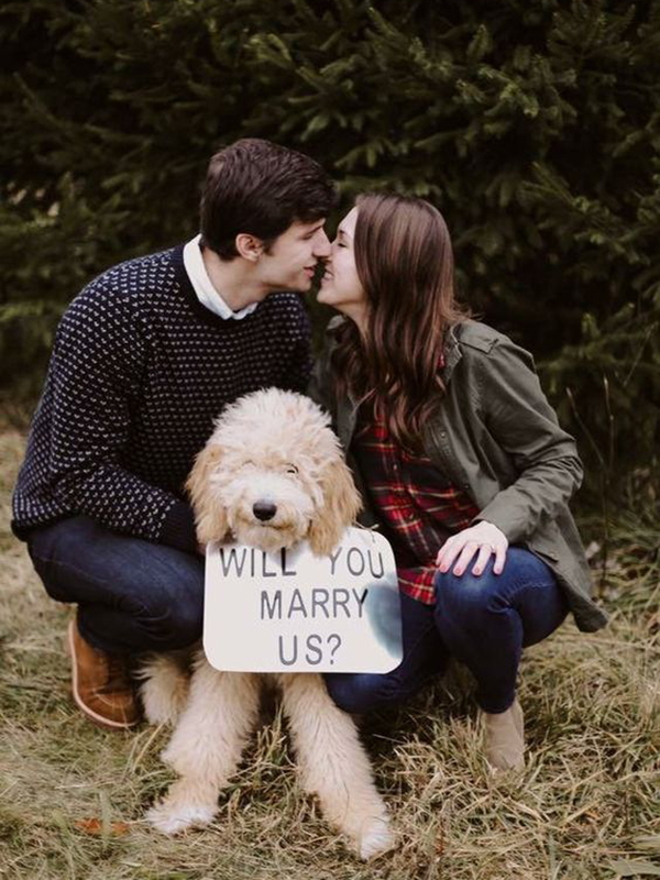 puppy proposal with sign