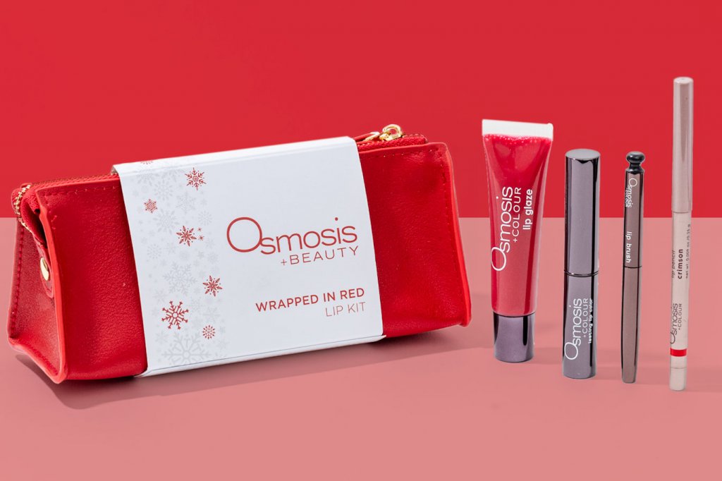osmosis beauty lip kit