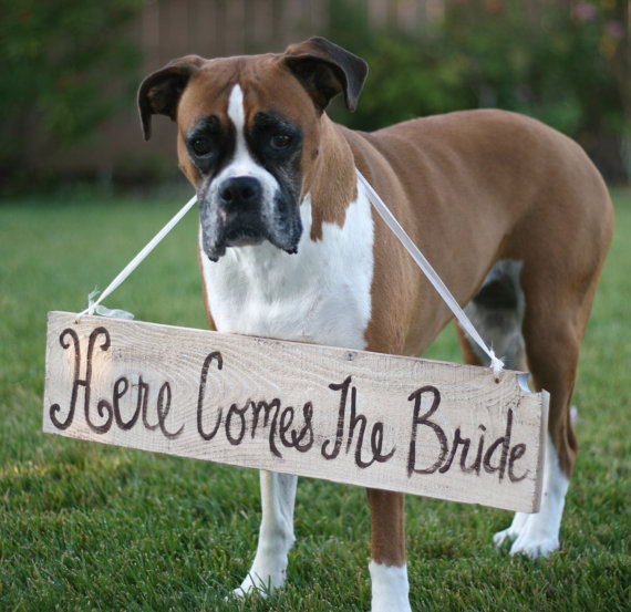 here come sthe bride sign