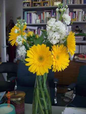 Flowers In Office