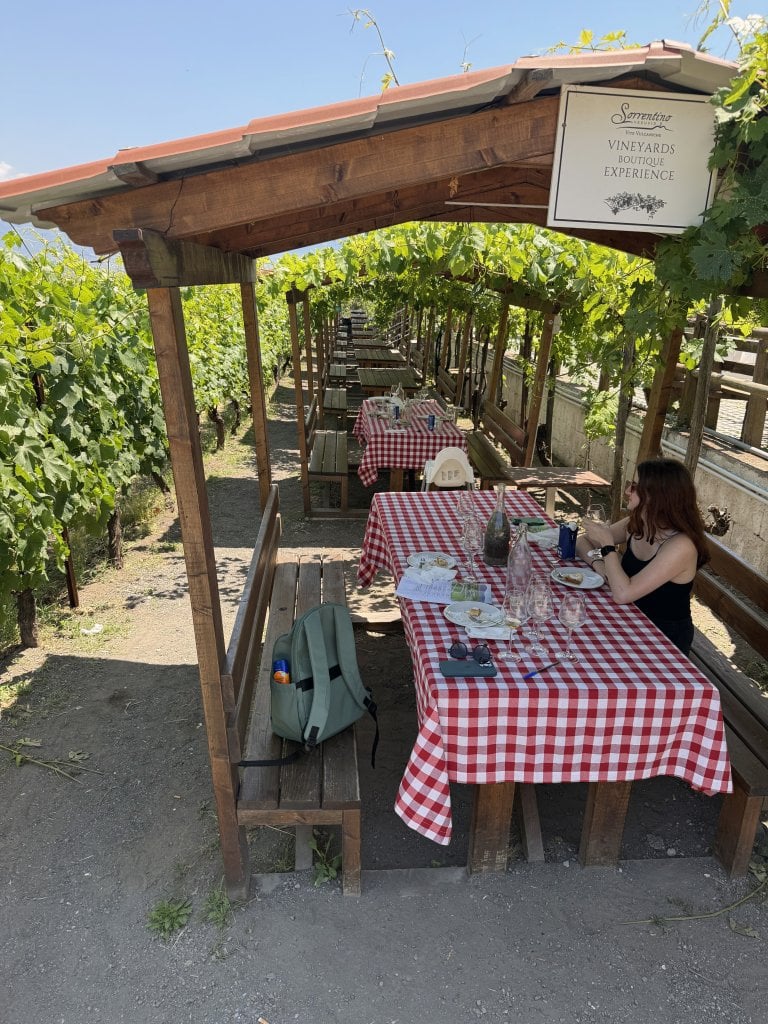 sorrentino winery italy