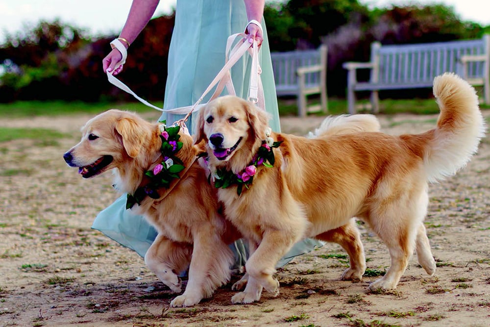 montauk wedding