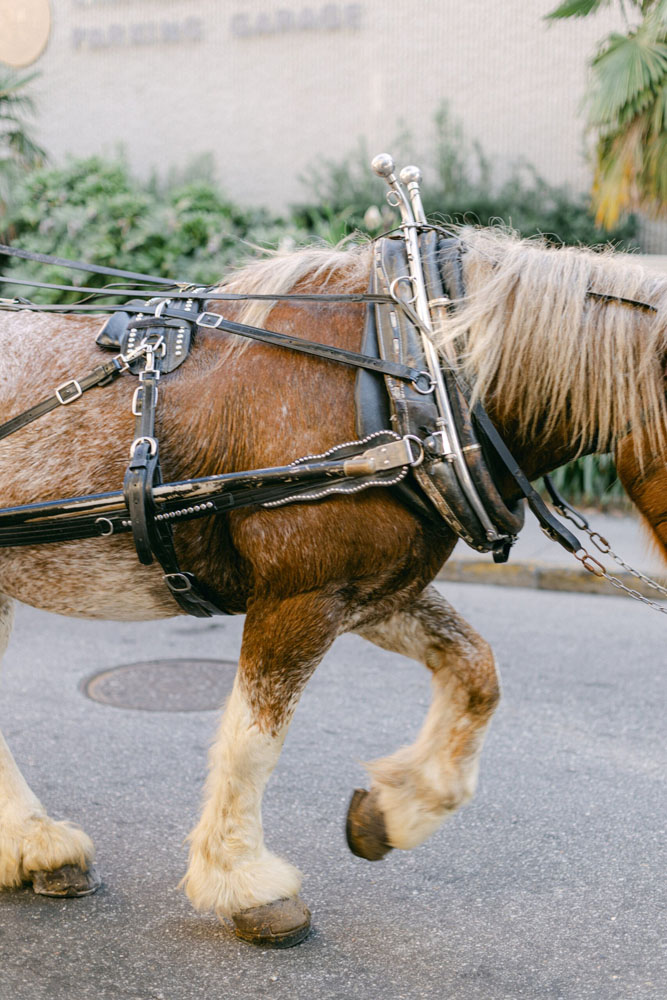 charleston real wedding