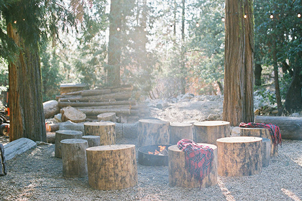 Tree Stumps