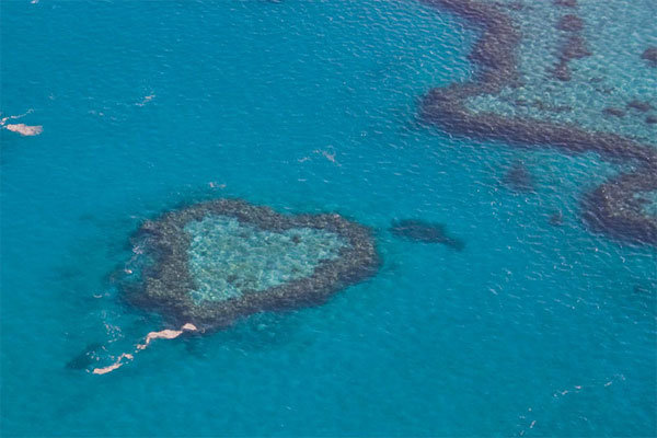 heart reef great barrier reef