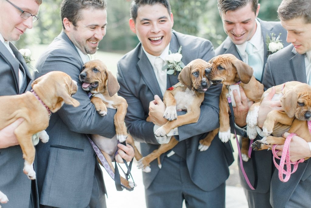 puppy bouquets