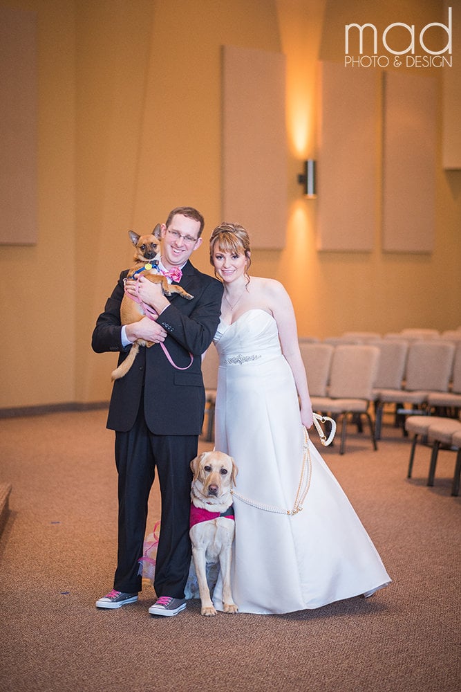 service dog with bride