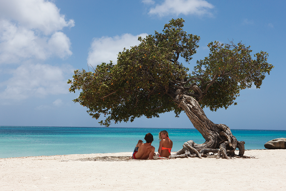 aruba