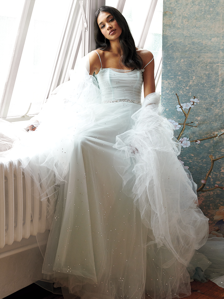 2024 Bridal Collection: Luxury Wedding Dresses | Pronovias