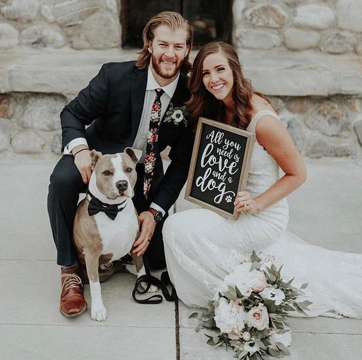 adorable dog wedding photo