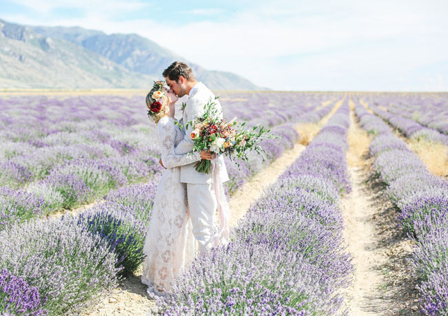 bridal portraits in lavender fields