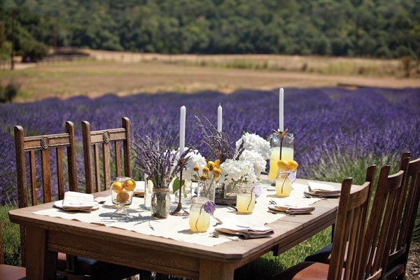 table setting field