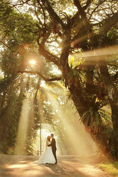 bride and groom with sunlight through the trees