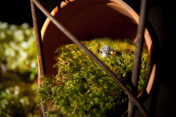 wedding rings with greenery