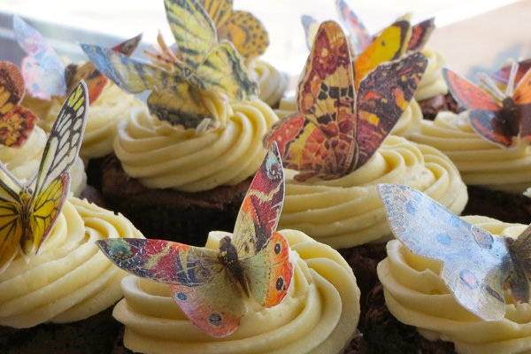 whimsical butterfly cupcakes