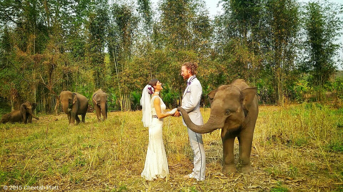 elephants center in thailand