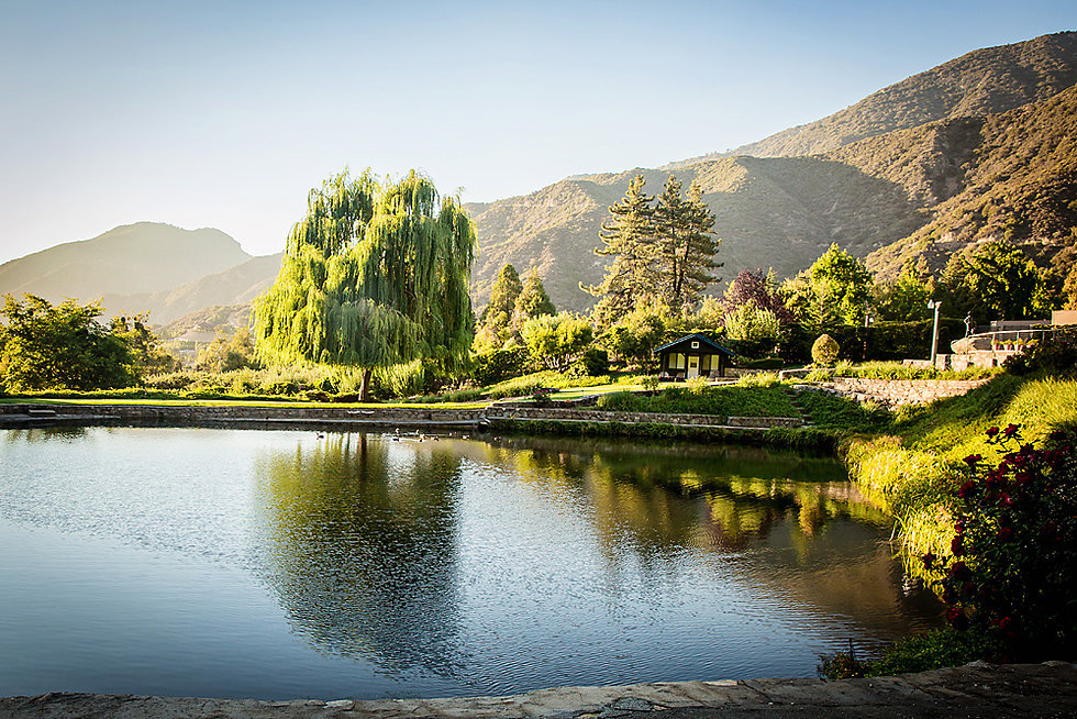 secret garden at parrish ranch