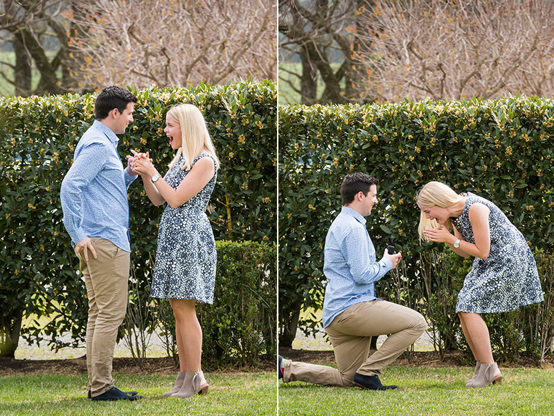 Elise & Paul Elise & Paul