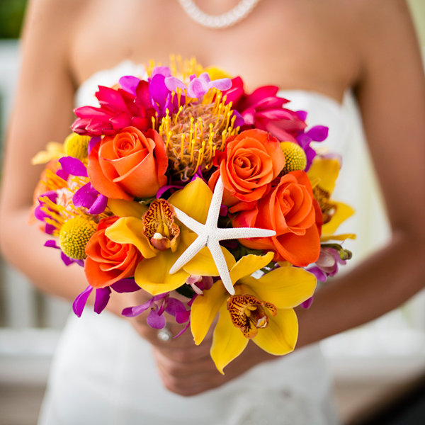 Seashells & Starfish Seashells & Starfish
