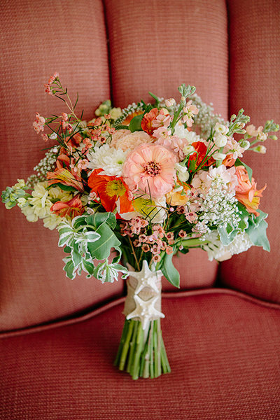 Seashells & Starfish Seashells & Starfish