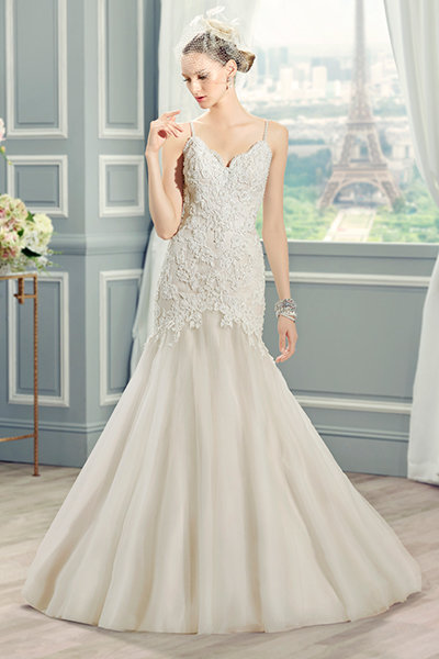 Moonlight Collection