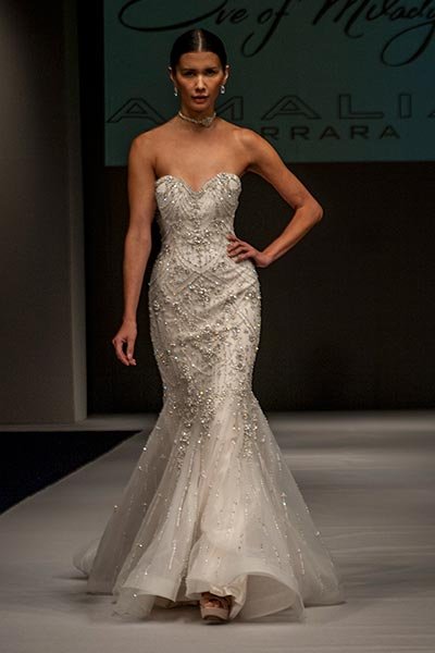 Amalia Carrara Collection