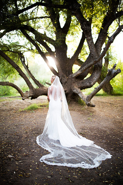 Cathedral Veils Without the Chapel