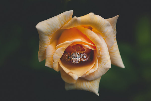 Intricately-Shaped Ring Intricately-Shaped Ring