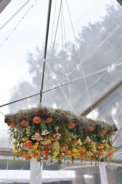 Decorative Ceilings Decorative Ceilings