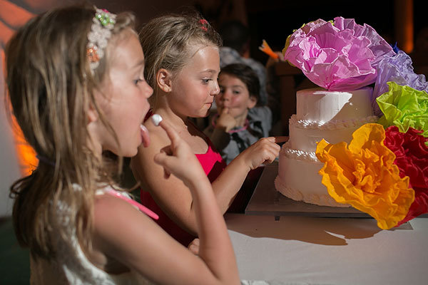 Cake-crazed Cake-crazed