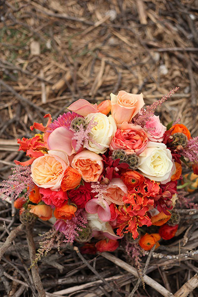 Skip: Specific flower types Skip: Specific flower types