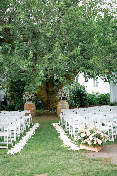 At a Vineyard At a Vineyard