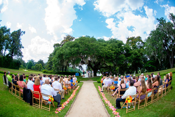 Beneath a Tree Beneath a Tree