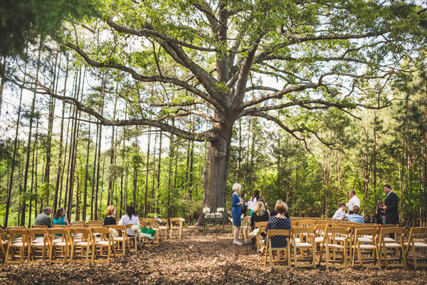 Beneath a Tree Beneath a Tree