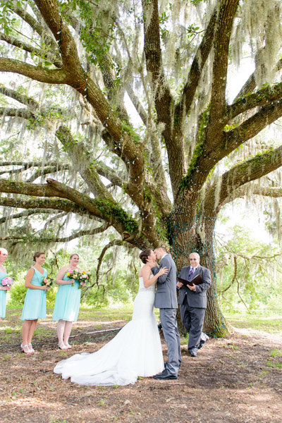 Beneath a Tree Beneath a Tree
