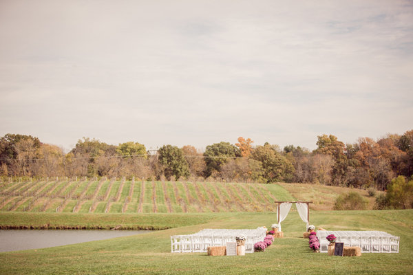 At a Vineyard At a Vineyard