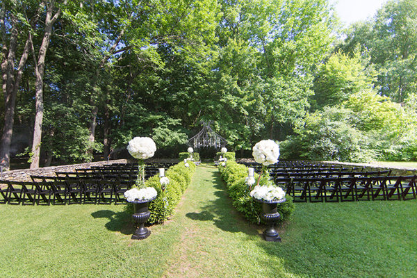 In a Backyard In a Backyard