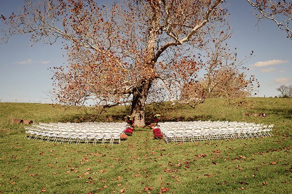 Beneath a Tree Beneath a Tree