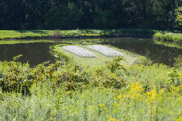 By the Water By the Water