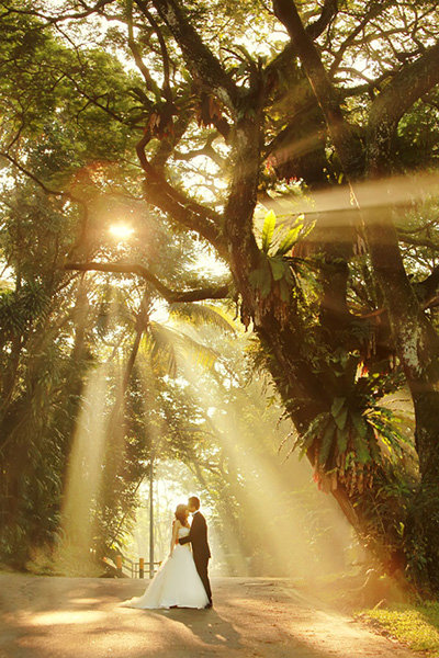 Must-Have Photos Must-Have Photos