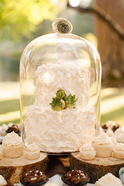 Cloche Cloche