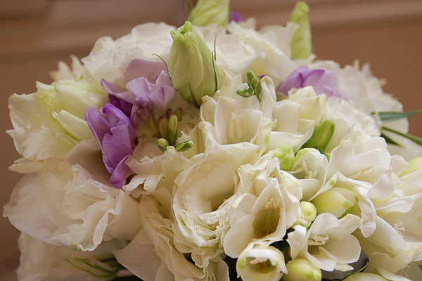 Save: White Freesia