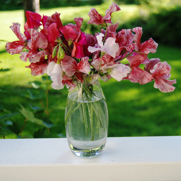 Save: Sweet Peas
