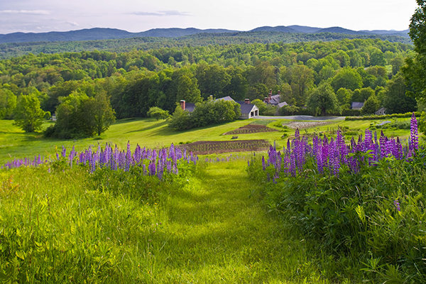 August: Barnard, Vermont